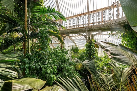 Tropical rainforest, Palm House, oldest Victorian greenhouse in the world, Royal Botanic Gardens,