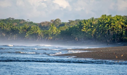 Coastal landscape, sea and sandy beach with rainforest, Corcovado National Park, Osa Peninsula,