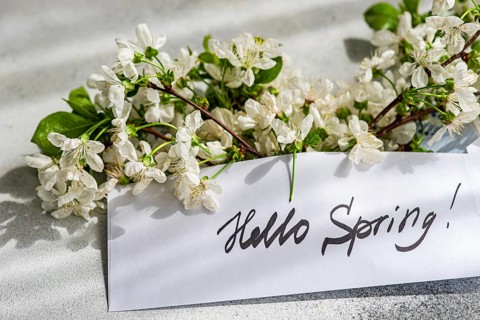 Elegant cherry blossoms lie on a textured surface, alongside a handwritten Hello Spring card.