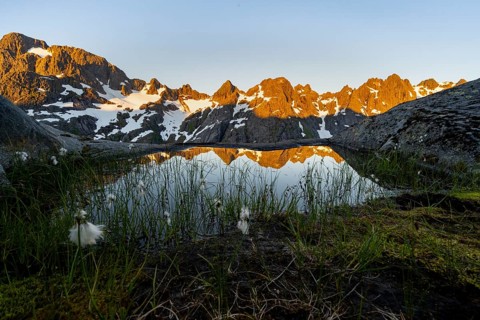 Rocky mountain peaks with reflection, small pond with cotton grass in moor landscape at Trollfjord