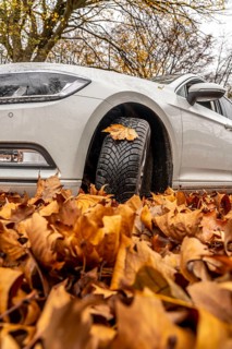 Driving on autumn leaves, slippery surfaces, leaves, grip from winter tyres