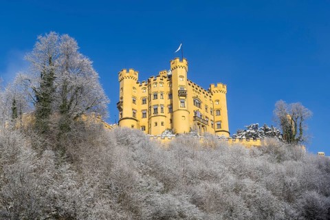 Imposing yellow castle in front of frosty trees and clear sky in winter, Hohenschwangau Castle,
