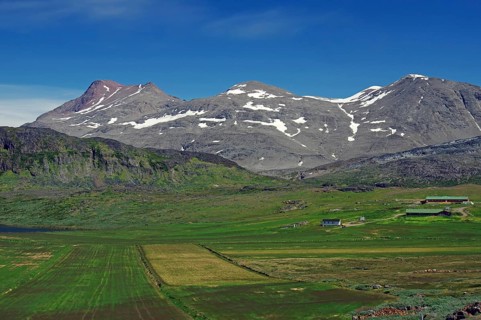 Wide fields with snow-covered mountains and blue sky in the background, agriculture, Igaliku, North