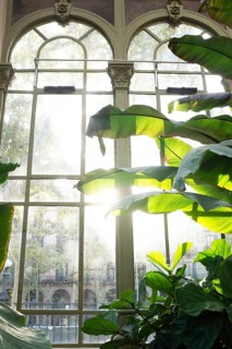 A serene image capturing sunlight filtering through an ornate window, illuminating the lush
