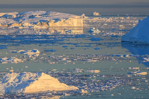 Icebergs and ice floes reflected in the water, summer, midnight sun, Jakobshavn glacier and ice