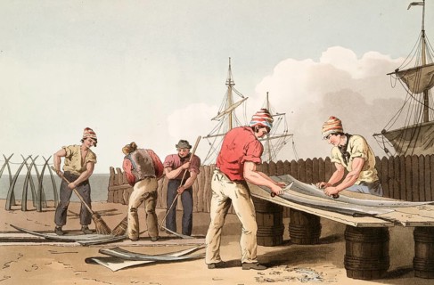 Scene from everyday life in England around 1810, fisherman scraping whalebone, whalebone,