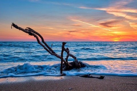 Ld wood trunk snag in water at tropical beach on beautiful sunset. Nature seascape background. Sun