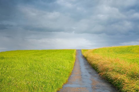 Narrow field road runs between two lush green grass fields, summer thunderstorm atmosphere in the