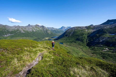 View of mountain landscape, mountaineer on hiking trail to the summit of Rundfjellet, Svolvaer,