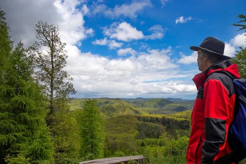 Hiker looks out over the southern Palatinate Forest from the summit of the Eiderberg