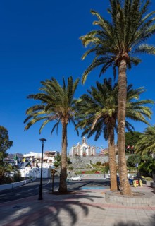 Village square with palm trees and church in Santa Lucía de Tirajana, Gran Canaria, Canary Islands,