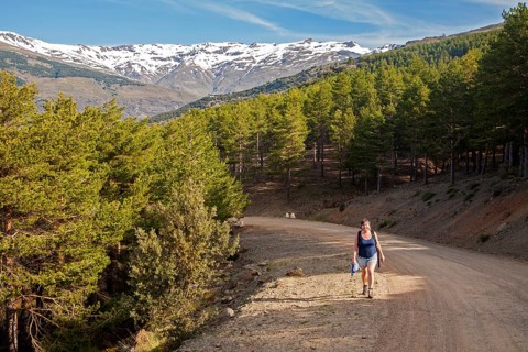 Woman walking in the Sierra Nevada Mountains in the High Alpujarras, near Capileira, Granada