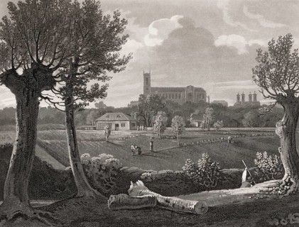 View of Westminster from Millbank, London, England, 1807