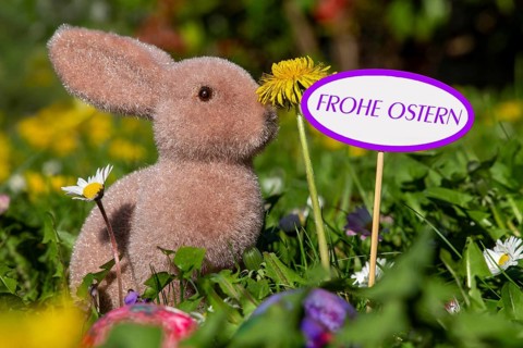 Happy Easter: Easter bunny in a meadow of flowers next to a sign with the added text FROHE OSTERN