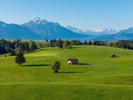 Green landscape with scattered huts and trees in front of a majestic mountain range, Alps, near