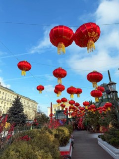 Street adorned with vibrant red Chinese New Year lanterns hanging under a clear blue sky,