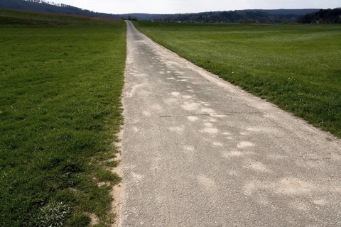 Bike path R1, near Wesertal, Weser Uplands, Weserbergland, Hesse, Germany