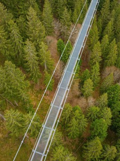 Bridge in a green forest landscape from the air, surrounded by conifer treetops, Wildline