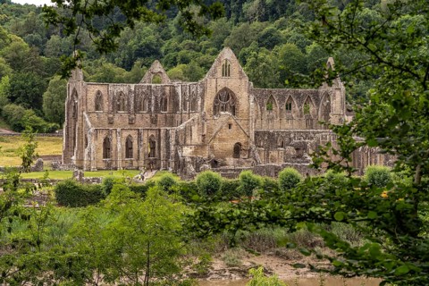 The ruins of Tintern Abbey in the Wye Valley, Tintern, Monmouth, Wales, Great Britain