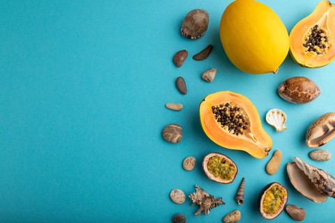 Ripe cut papaya, melon, passion fruit, seashells, pebbles on blue pastel background. Top view, flat