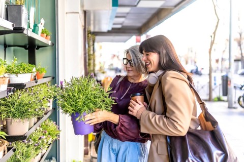 Two cheerful women spending quality time together, choosing potted plants with purple flowers from
