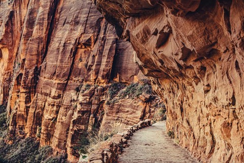 Zion National Park
