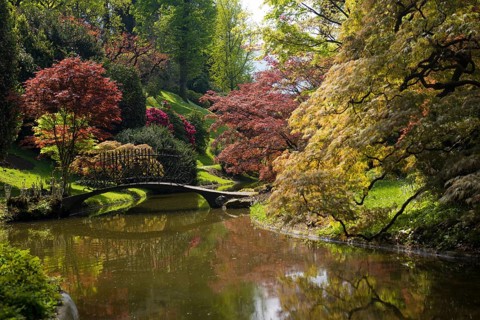 Pond with bridge in the park, spring, Villa Melzi, Bellagio, Province of Como, Lombardy, Italy