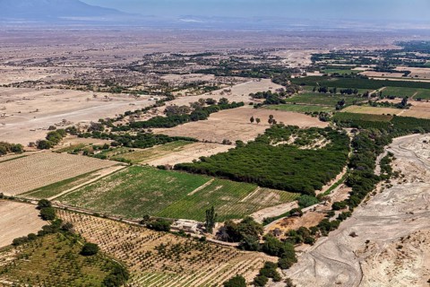 Dry landscape with green and brown fields between tree-covered areas and desert soil, The landscape
