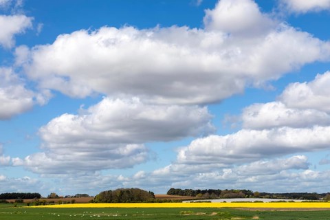 White fluffy cumulus clouds in blue sky with rural land horizon, Suffolk, England, UK