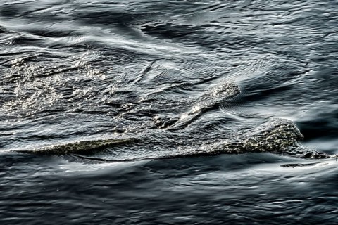 Waves on the Weser River, Wesertal, Weserbergland, Germany