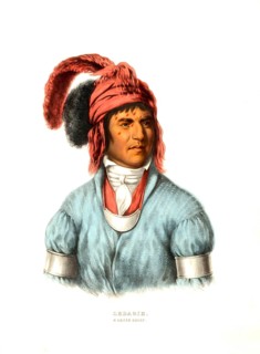 American Indian, Native American, Ledagie, a Creek chief, United States of America, USA, Painting