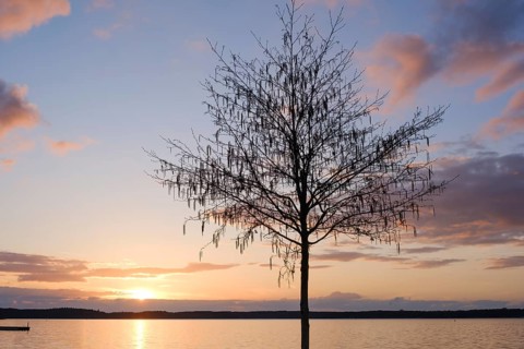 Sunset at Lake Müritz, Waren, Müritz, Mecklenburg Lake District, Mecklenburg,