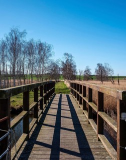 Landscape at Lake Neuensien on the island of Rügen, Mecklenburg-Western Pomerania, Germany