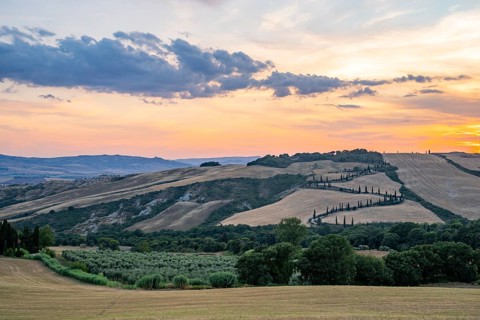 Typical Tuscan landscape in Val d'Orcia with hills, trees, fields, cypresses and farm road in