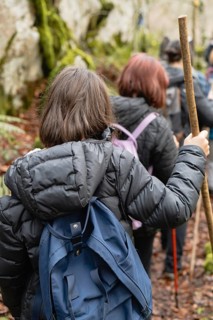 A group of hikers with backpacks and walking sticks navigate through a magic forest. Moss covered