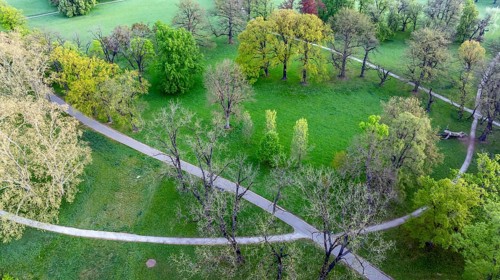Rosenstein Park in spring with old trees and paths through the landscaped park. Aerial view.