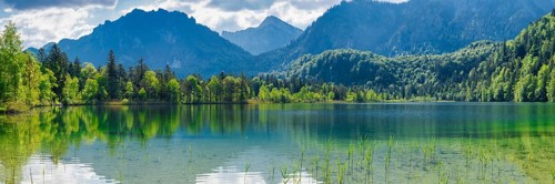 Schwansee, near Hohenschwangau, Romantic Road, Ostallgäu, Bavaria, Germany