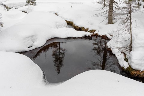Lake Grosser Arbersee in late winter. The lake and the adjacent forest are snow covered. Germany,
