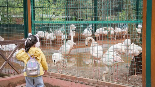 GAZIANTEP, TURKEY - APRIL 18, 2026: Visitors enjoy an early spring stroll at Gaziantep Wildlife