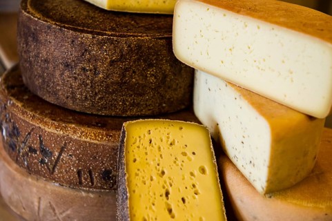 Cheese, hard cheese, organic cheese, Black Forest, Baden-Württemberg, Germany