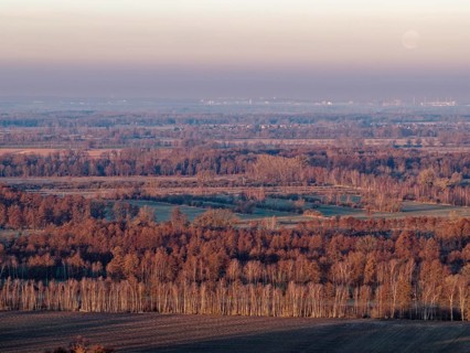 Landscape in the Drömling UNESCO Biosphere Reserve in the Altmark at dawn on a cold spring day. The