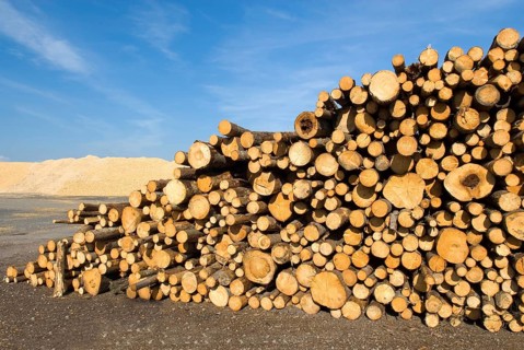 Sawdust and wood piles, stacked, wood, forestry, industry, sawmill in Sweden