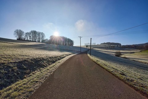 Hilly landscape with meadow, forest and trees, blue sky, backlight of the sun, Breitebene road,