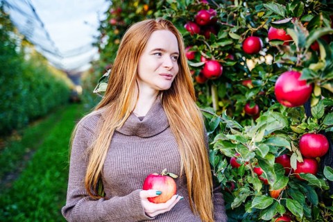 A beautiful pregnant woman with long red hair holds an apple while standing in a lush orchard with