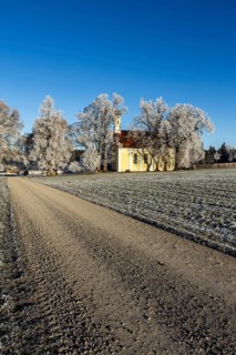 A path to a church, surrounded by wintry trees and frost, Maria Schnee Chapel, Nassenbeuren,