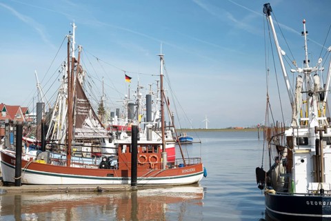 Fishing cutter Hinderk, harbour, Ems, Dollart, Ditzum, East Frisia, Lower Saxony, Germany
