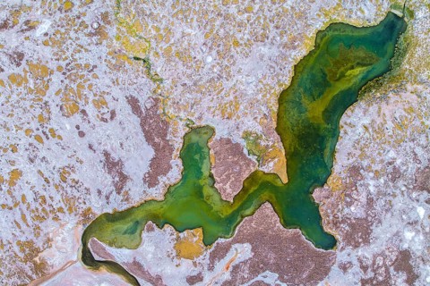 Top view aerial shot of the Carachipampa Lagoon in Catamarca, Argentina, capturing the stunning