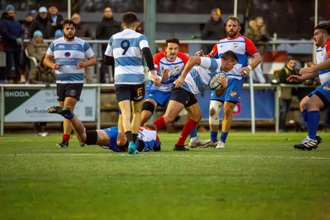 Rugby 1st Bundesliga South/West, season 2024/25, matchday 7 (catch-up match) : Heidelberger