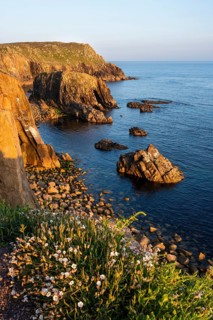 Coastal landscape at Land's End. White blooming wildflowers in front. Evening, golden hour. Land's