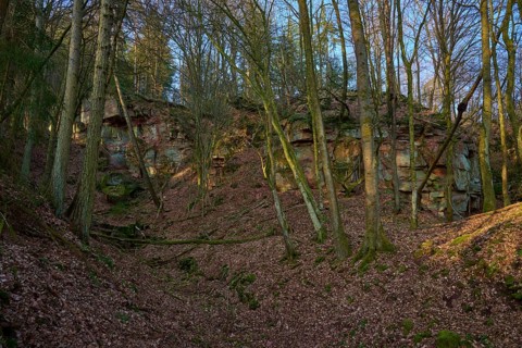 Forest trail in shade with steep rock walls in the background and fallen leaves, old quarry,